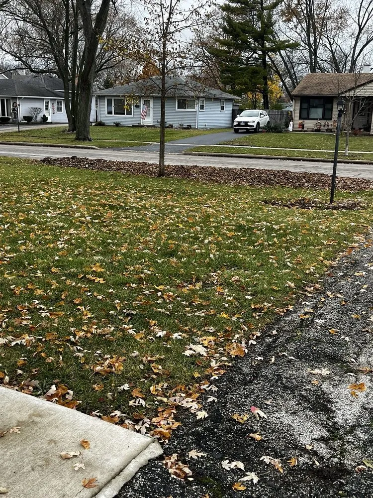 Affordable landscape installation in Niles, IL - Sal's Landscaping