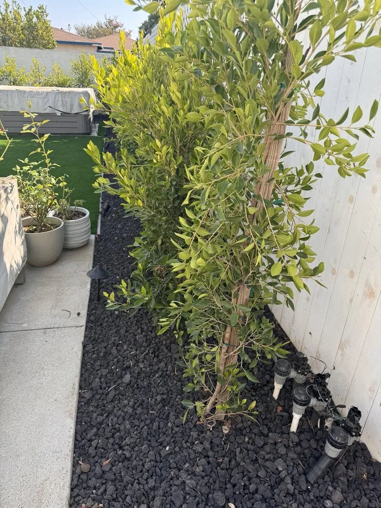 Local lawn mowing service for homes in Santa Clarita, CA by Sals Landscaping