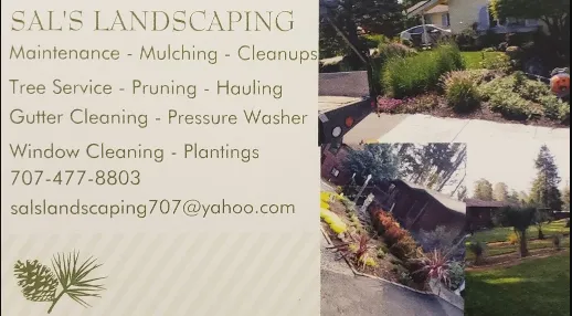 Top-rated outdoor landscaping in Santa Rosa, CA - Sal's Landscaping