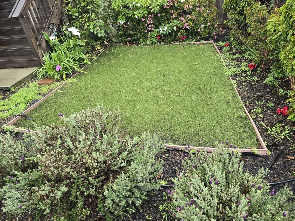 Custom landscaping services in Seaside, CA - Sal's Landscaping