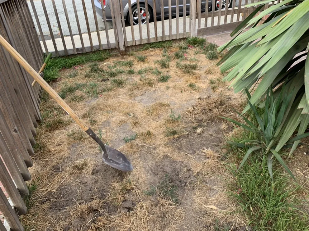 Professional landscape design in Seaside, CA - Sal's Landscaping