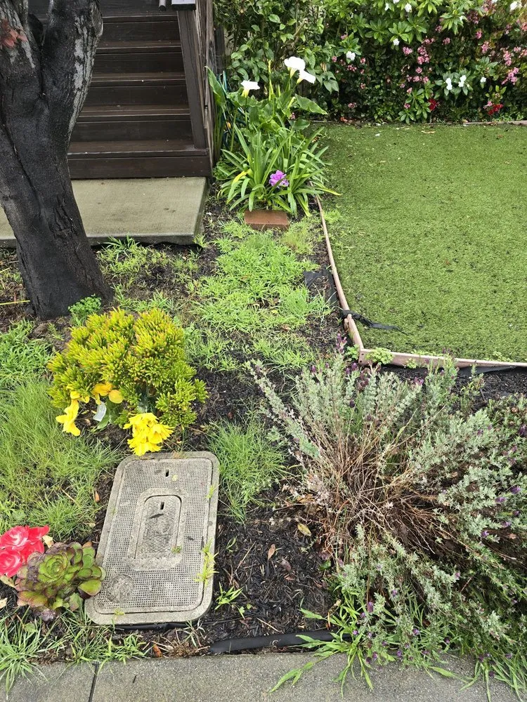 Affordable landscaping services in Seaside, CA - Sal's Landscaping