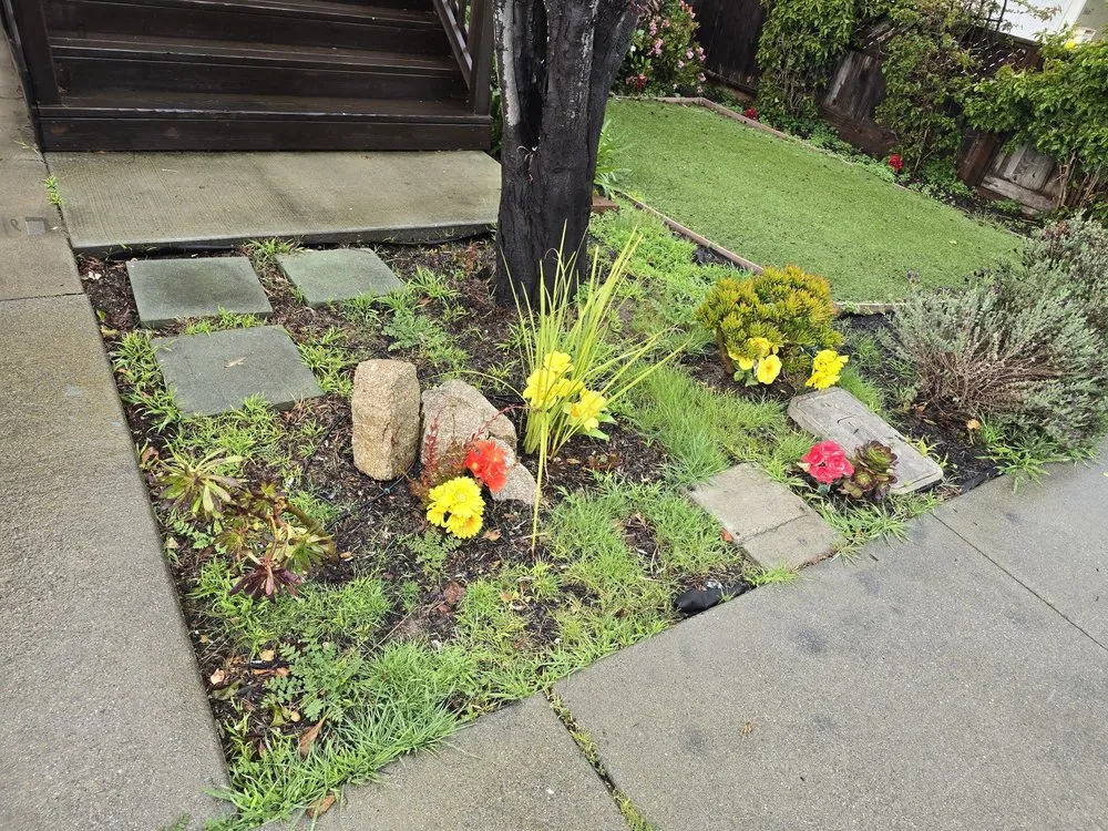 Reliable landscaping services for homes across Seaside, CA - Sal's Landscaping