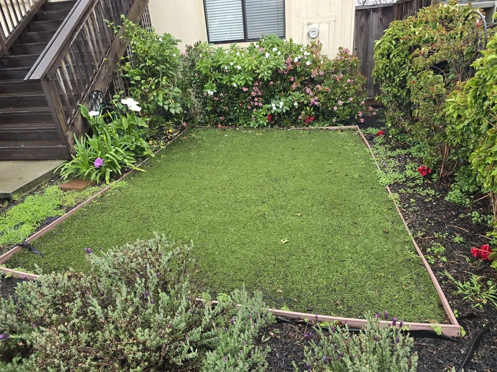 Local lawn care service for year-round maintenance across Seaside, CA - Sal's Landscaping