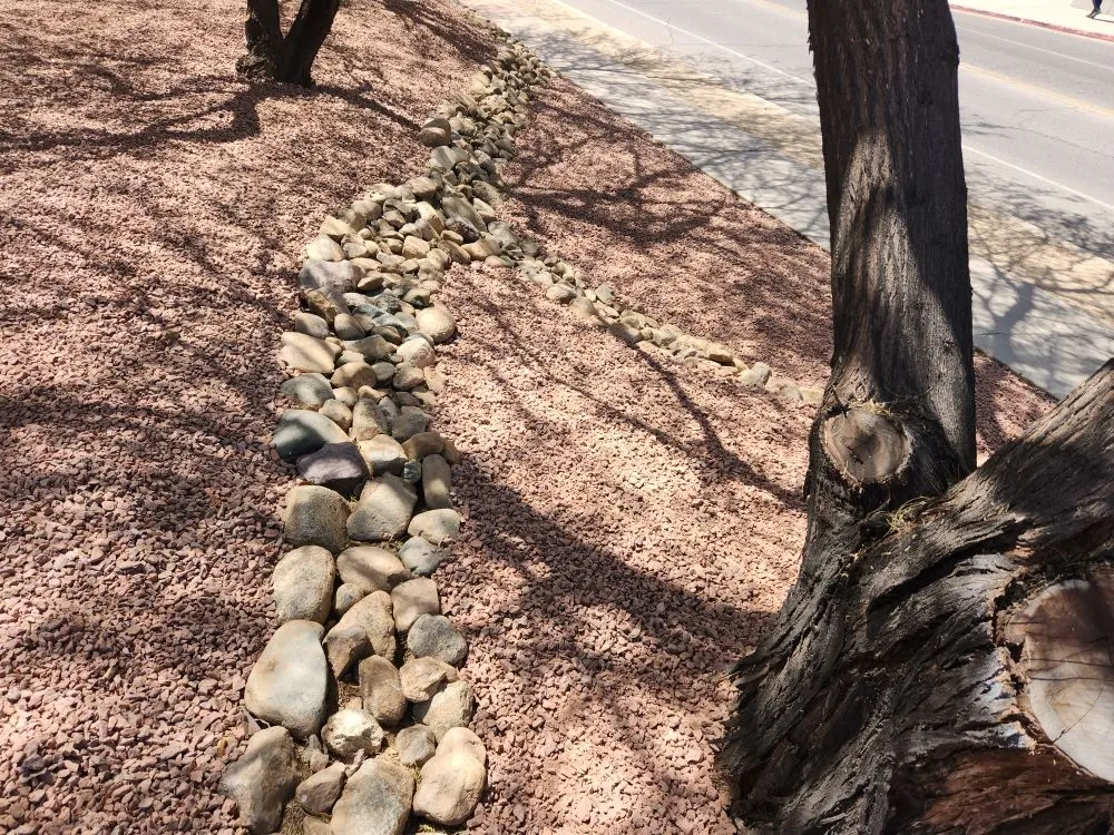 Affordable yard maintenance with custom design across Tucson, AZ - Sal's Lawn & Yard Maintenance