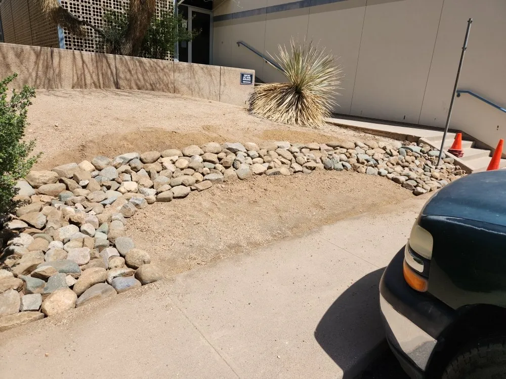 Affordable lawn care service in Tucson, AZ by Sal's Lawn & Yard Maintenance