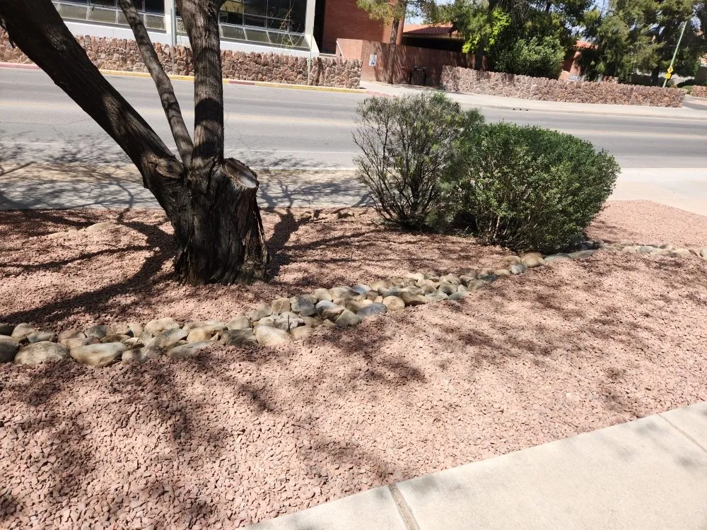 Custom landscape design in Tucson, AZ by Sal's Lawn & Yard Maintenance