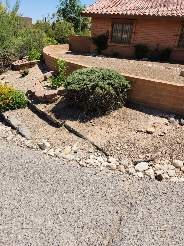 Custom yard cleanup service experts serving Tucson, AZ - Sal's Lawn & Yard Maintenance