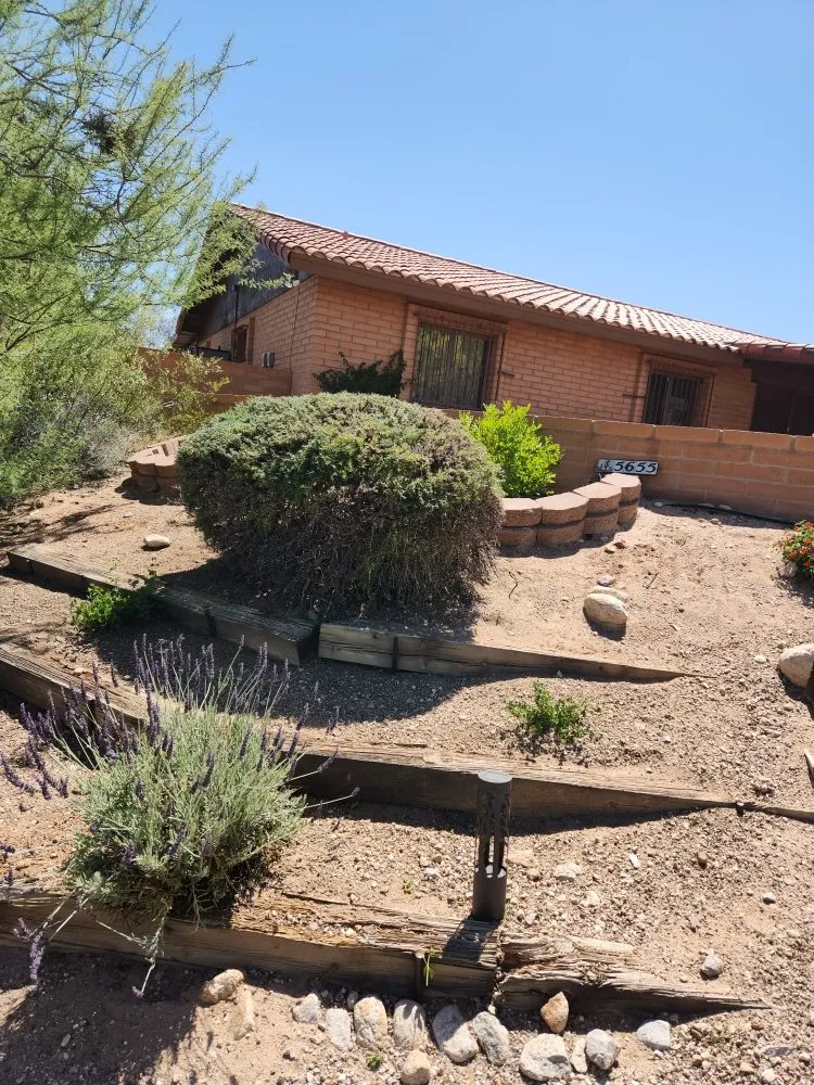 Top-rated residential landscaping for beautiful yards in Tucson, AZ by Sal's Lawn & Yard Maintenance