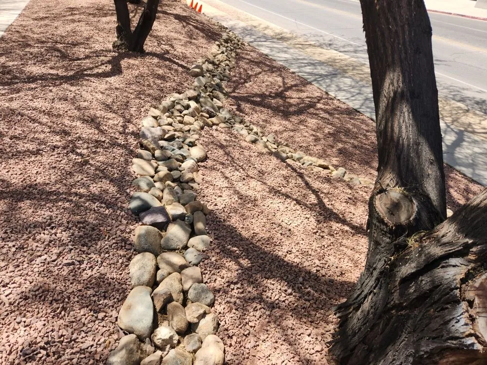 Custom yard cleanup service in Tucson, AZ - Sal's Lawn & Yard Maintenance