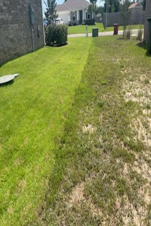 Top-rated outdoor landscaping near you in Pensacola, FL by Sal’s Lawn Care And Home Repair