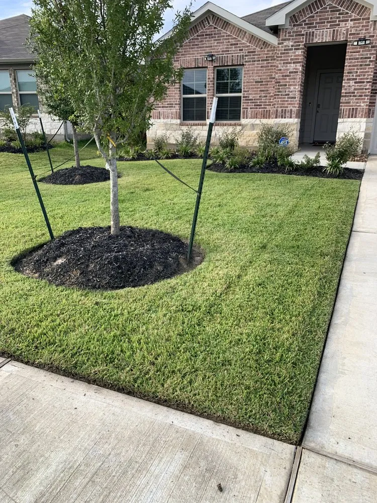 Trusted yard maintenance in New Caney, TX - Sal’s Lawn Service