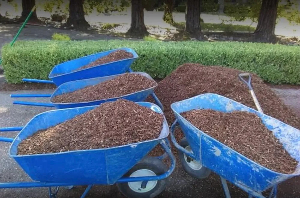 Custom residential landscaping experts serving Rancho Cordova, CA - Sal's Lawn Service