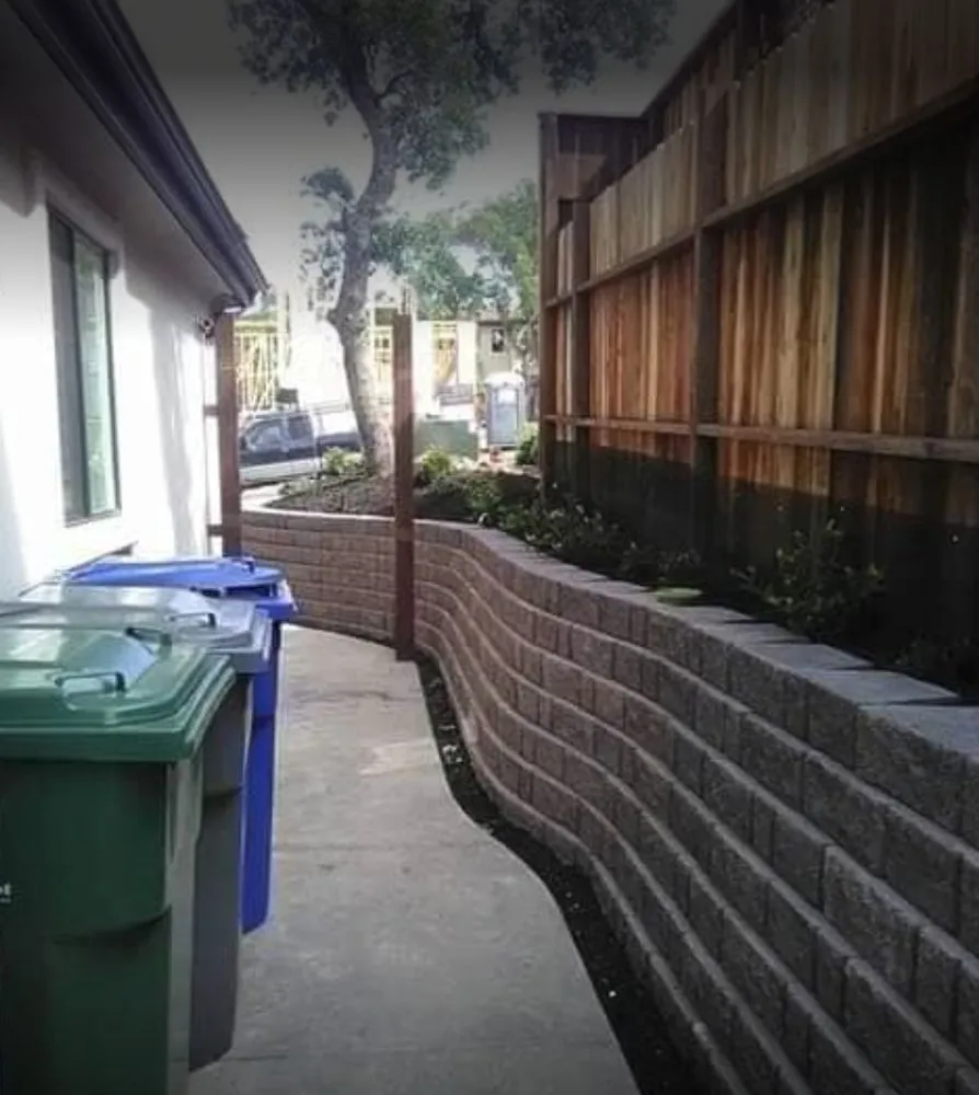 Expert yard cleanup service for year-round maintenance across Rancho Cordova, CA - Sal's Lawn Service