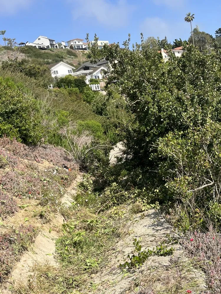 Custom outdoor landscaping for beautiful yards across Lawndale, CA - Sals quality gardens