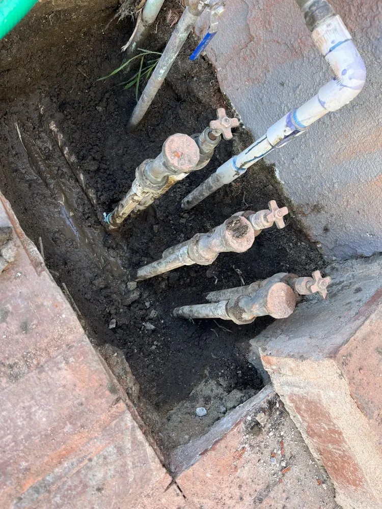 Top-rated landscape design in Lawndale, CA by Sals quality gardens