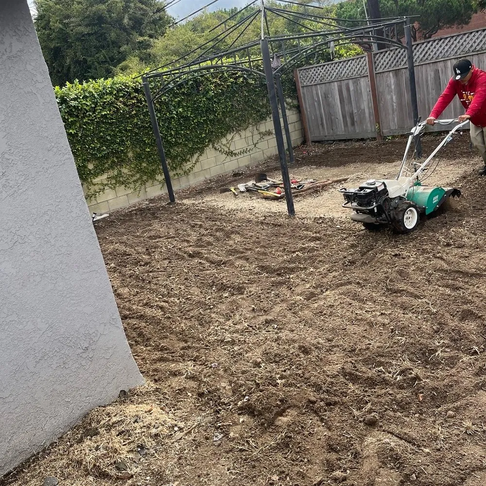 Custom yard cleanup service for homes across Lawndale, CA - Sals quality gardens