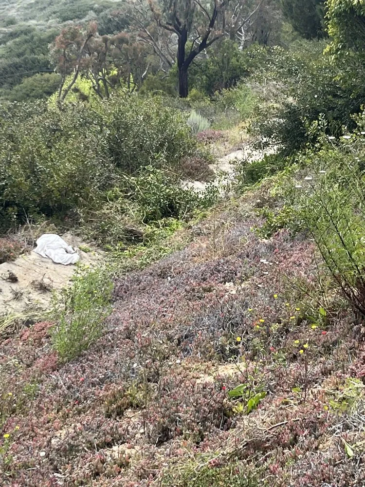 Top-rated landscaping services in Lawndale, CA by Sals quality gardens