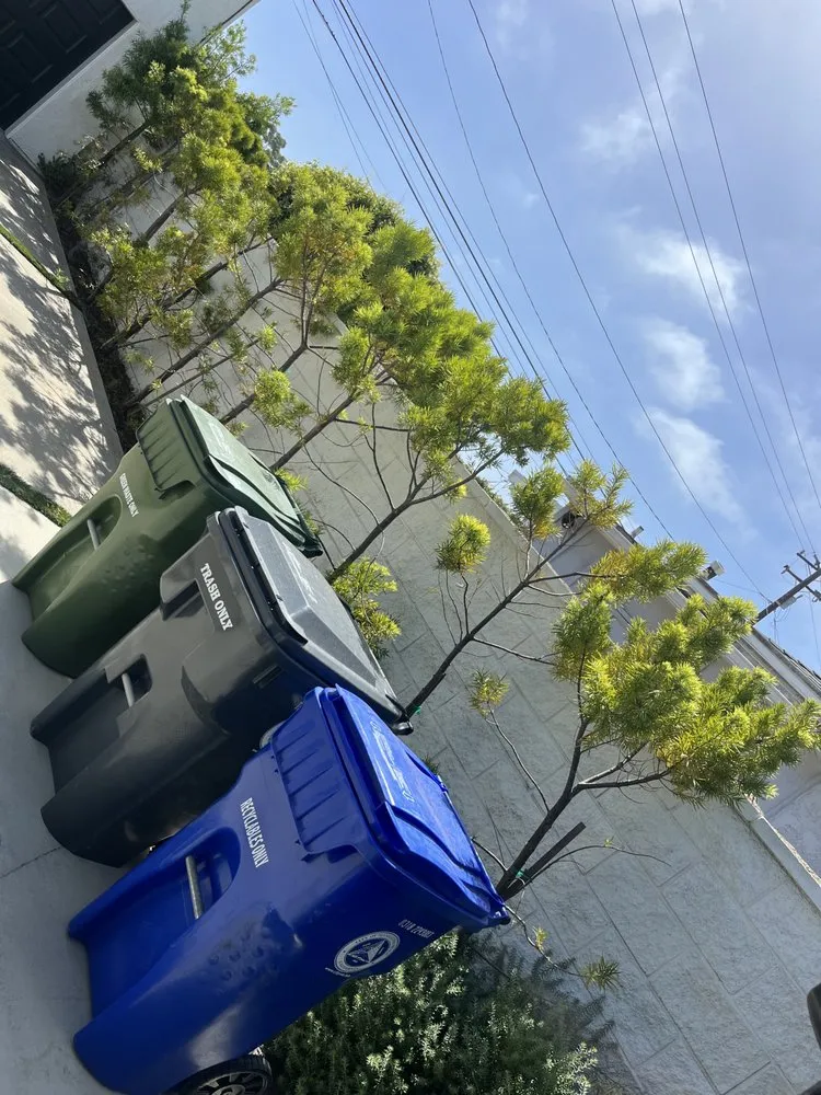 Professional yard maintenance in Lawndale, CA - Sals quality gardens