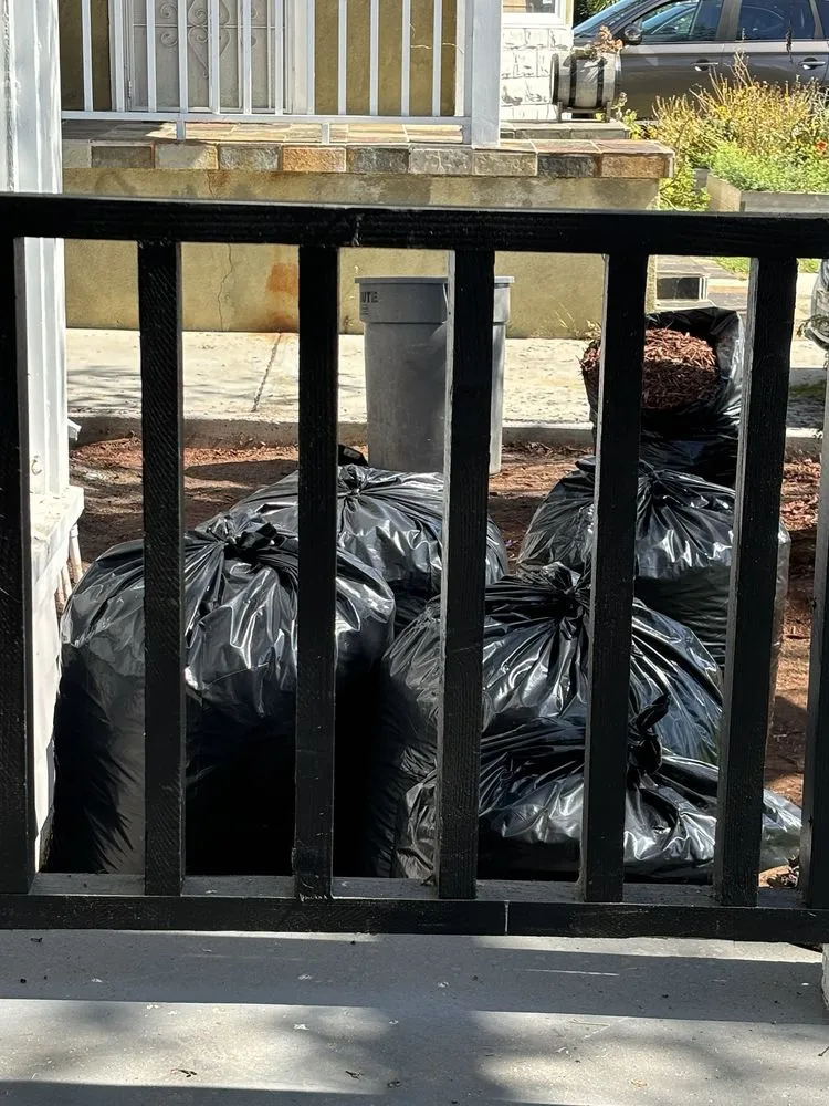 Professional outdoor landscaping experts serving Lawndale, CA - Sals quality gardens