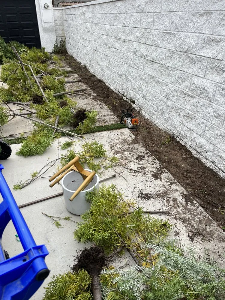 Expert lawn mowing service for residential properties in Lawndale, CA by Sals quality gardens