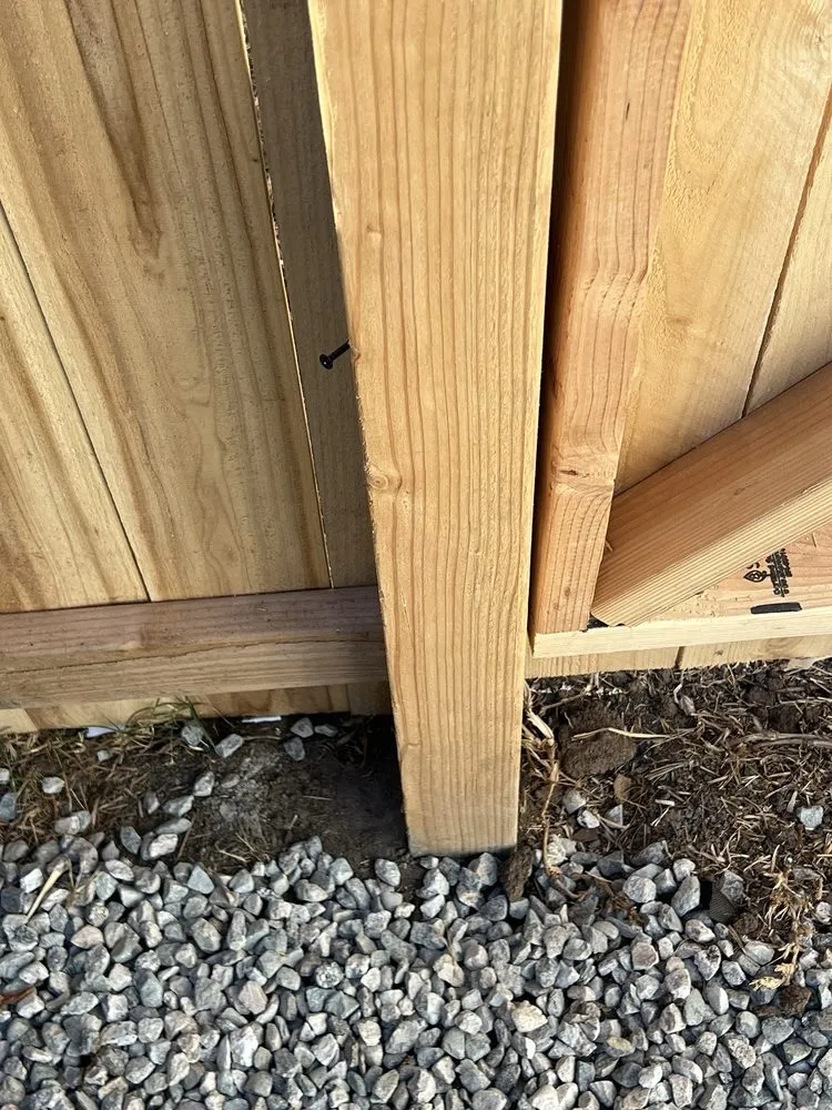 Reliable yard maintenance in Lawndale, CA by Sals quality gardens