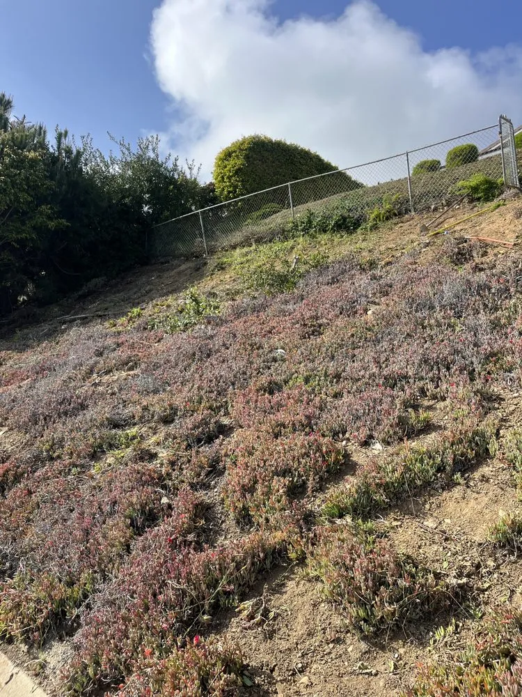 Reliable landscape design for outdoor upgrades in Lawndale, CA by Sals quality gardens