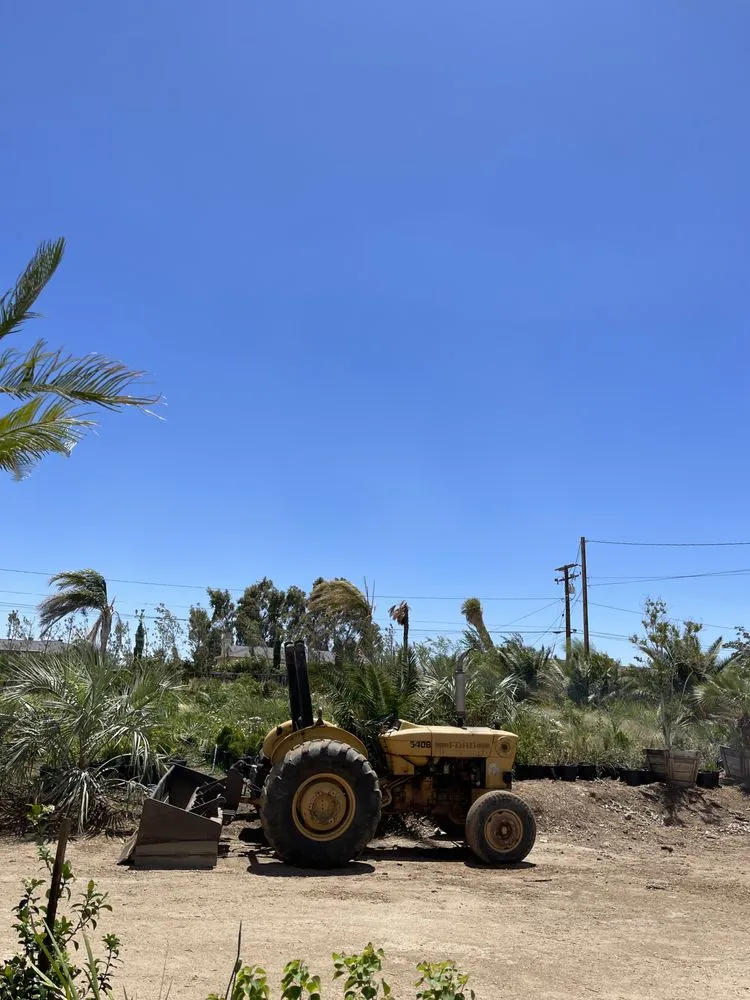Trusted residential landscaping in Hesperia, CA - Sal's Tractor & Clean Up