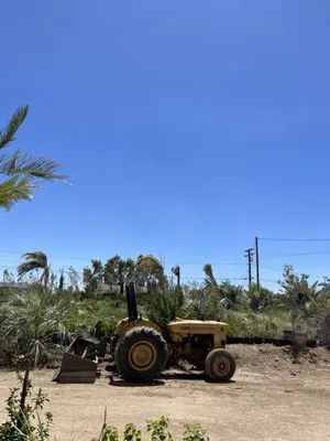 Sal's Tractor & Clean Up Logo