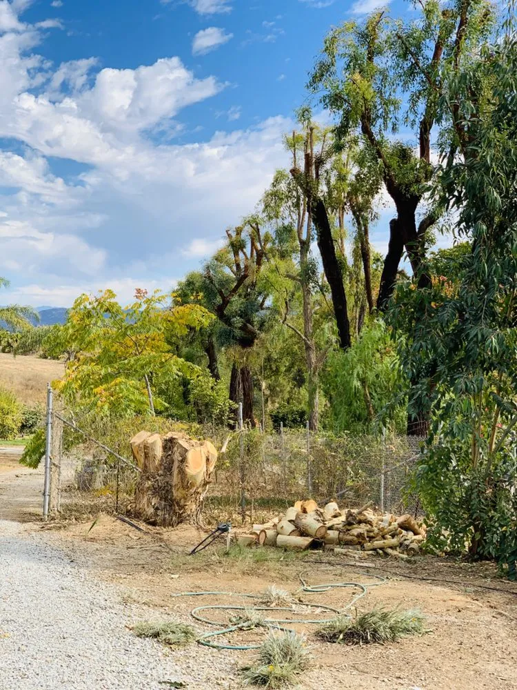 Expert garden landscaping for homes in Fallbrook, CA by Sal's Tree Services & Junk Removal