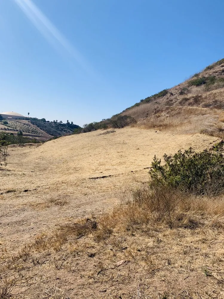 Affordable yard maintenance in Fallbrook, CA by Sal's Tree Services & Junk Removal