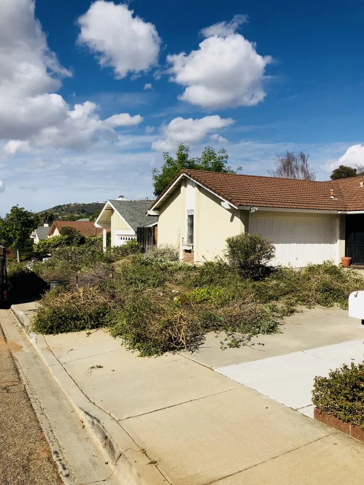 Professional yard cleanup service in Fallbrook, CA by Sal's Tree Services & Junk Removal