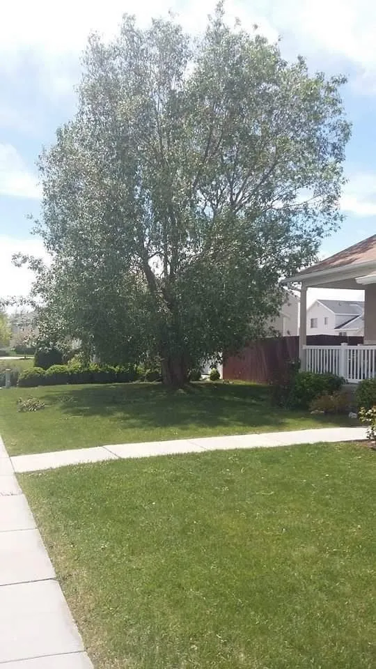 Local outdoor landscaping in Salt Lake City, UT by Salt Lake City Cheap Yard Work