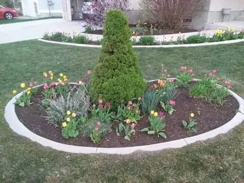 Reliable landscape design in Salt Lake City, UT - Salt Lake City Cheap Yard Work