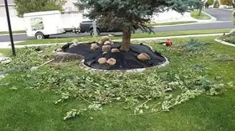 Affordable landscaping services in Salt Lake City, UT by Salt Lake City Cheap Yard Work