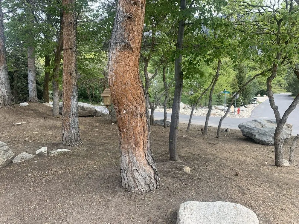 Custom lawn care service experts serving Salt Lake City, UT - Salt Lake Yard Work