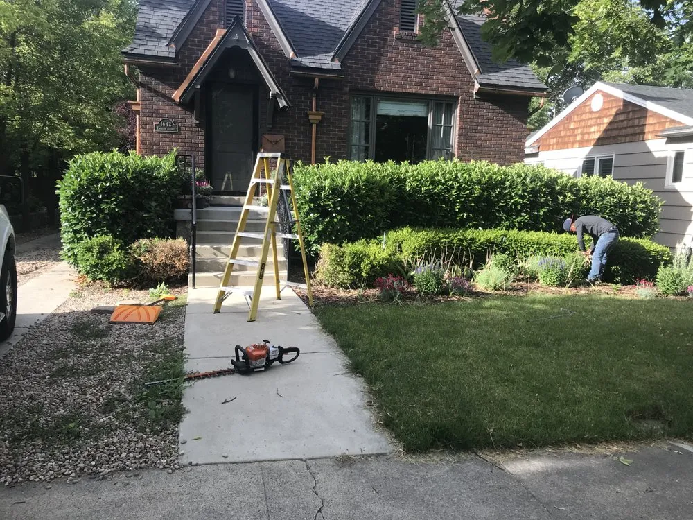 Custom yard cleanup service in Salt Lake City, UT by Salt Lake Yard Work