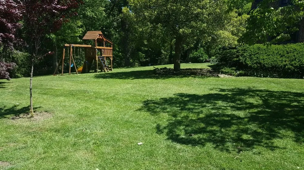 Local landscape design in Islip Terrace, NY by Salt Marsh Property Maintenance