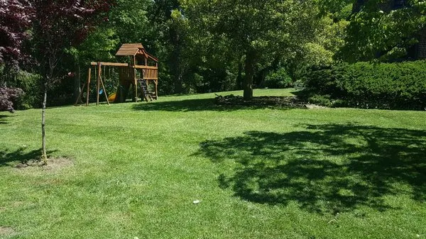 Salt Marsh Property Maintenance