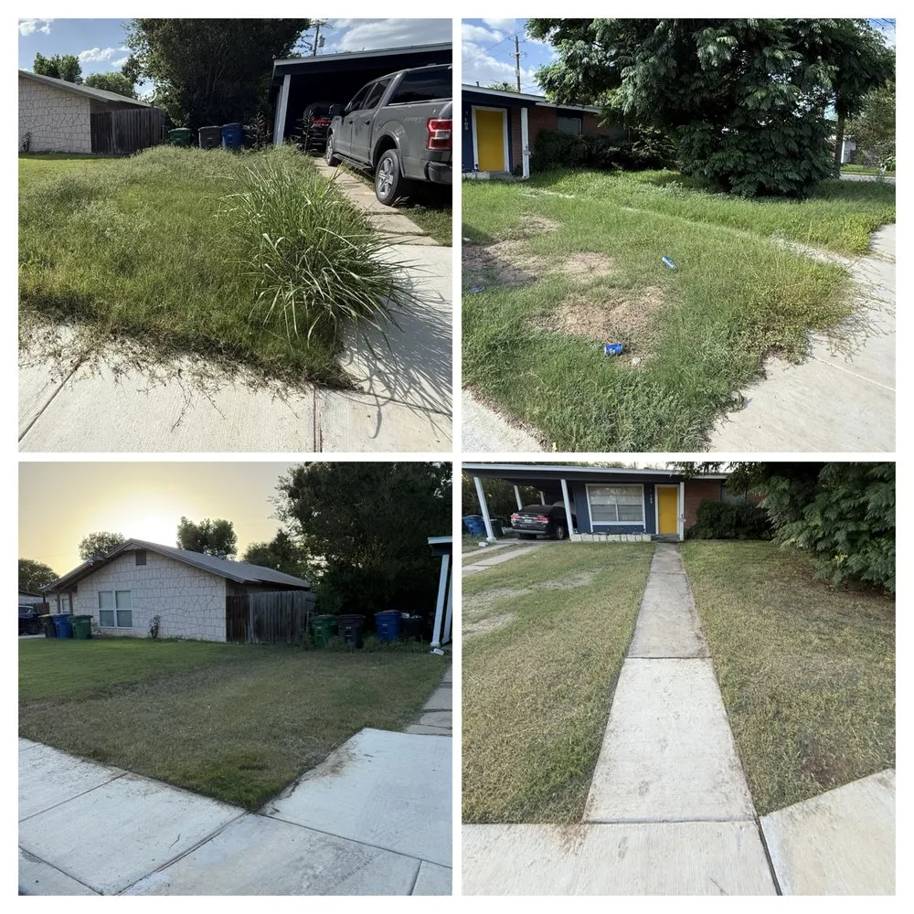 Affordable outdoor landscaping in San Antonio, TX by Salt Of The Earth Home And Ranch Services