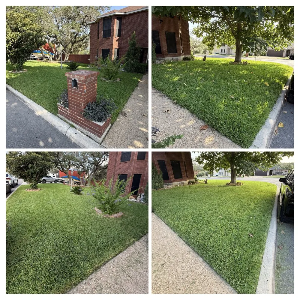 Trusted lawn care service experts serving San Antonio, TX - Salt Of The Earth Home And Ranch Services