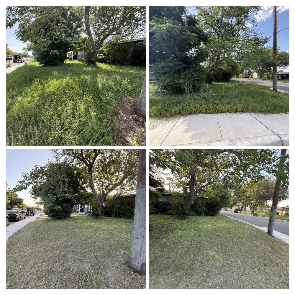 Custom landscape design experts serving San Antonio, TX - Salt Of The Earth Home And Ranch Services