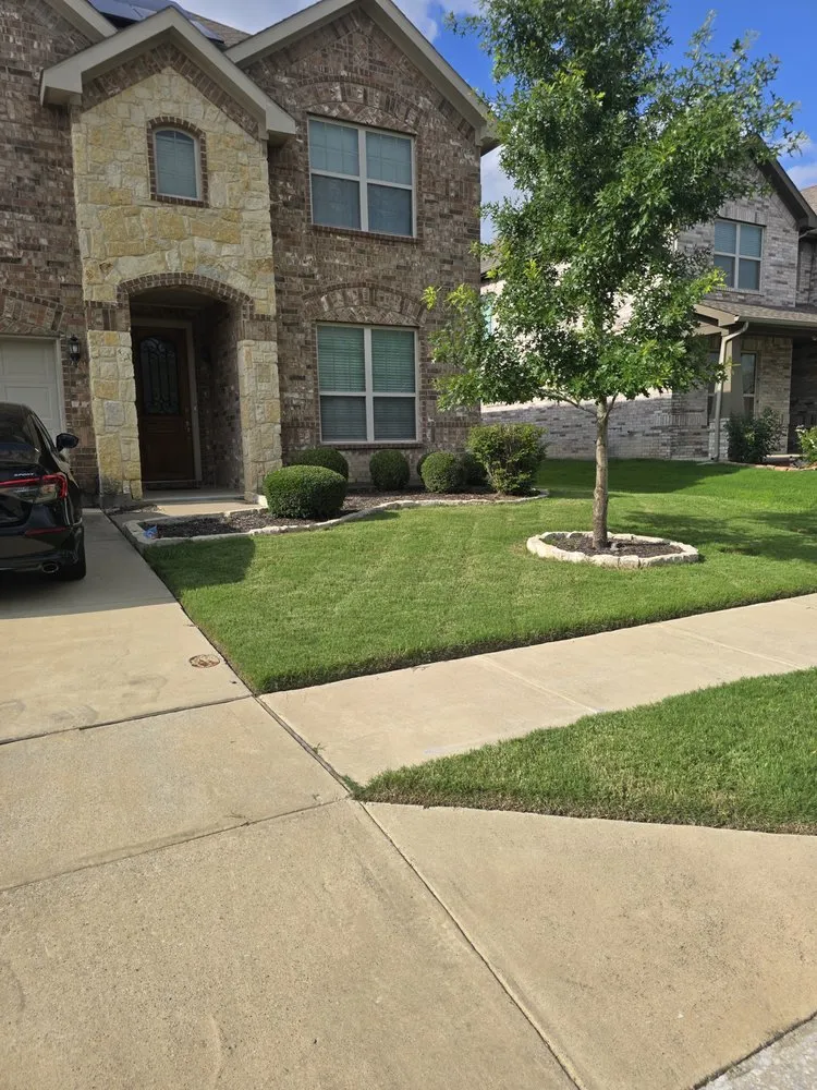 Professional yard cleanup service in Crowley, TX - Salt of the Earth Lawn Care