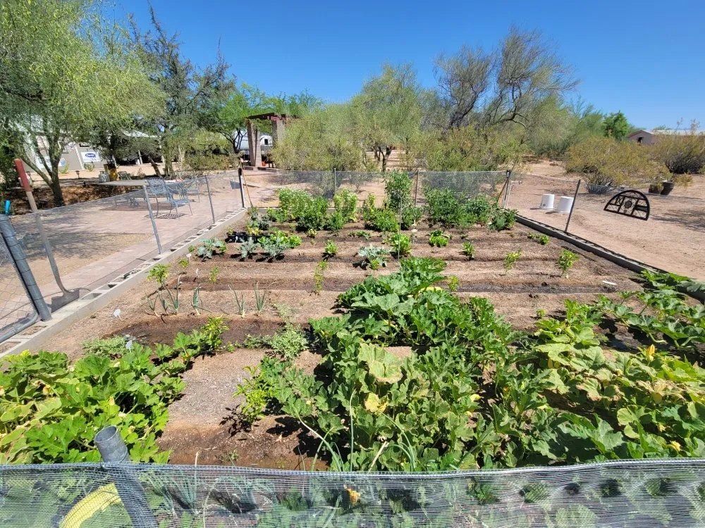 Affordable landscape installation for residential properties in Apache Junction, AZ by Salt River Maintenance