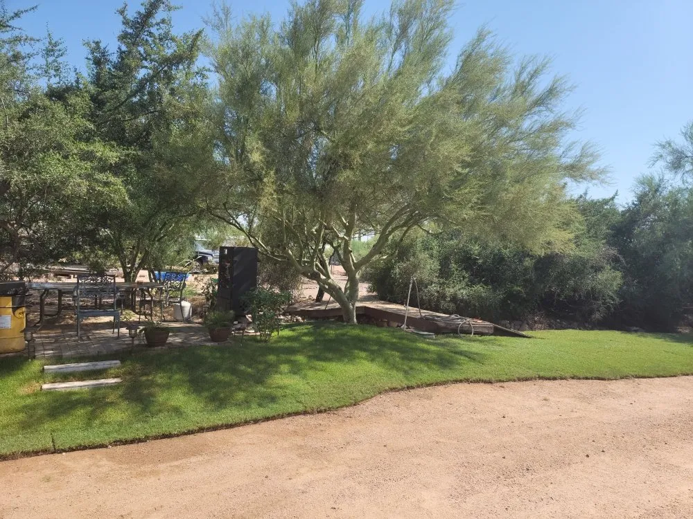 Affordable landscape design in Apache Junction, AZ - Salt River Maintenance