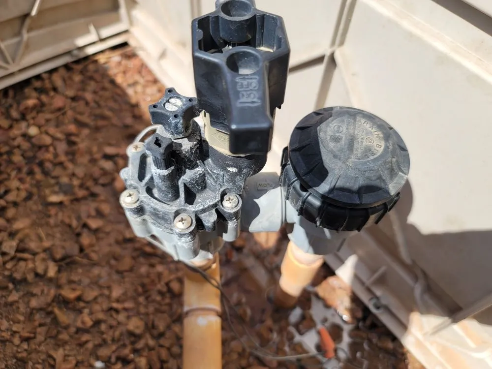 Trusted lawn care service in Apache Junction, AZ - Salt River Maintenance