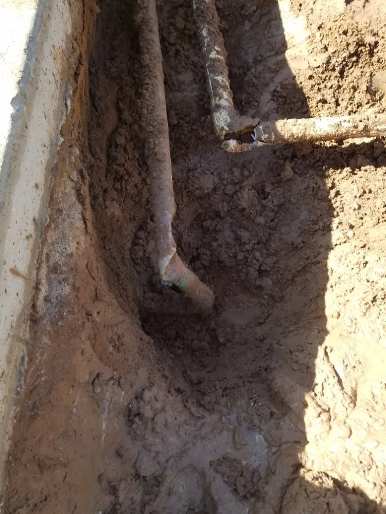 Expert garden landscaping in Apache Junction, AZ - Salt River Maintenance