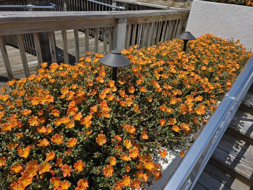 Top-rated yard cleanup service for outdoor upgrades in Milton, FL by Salted Sands Landscaping