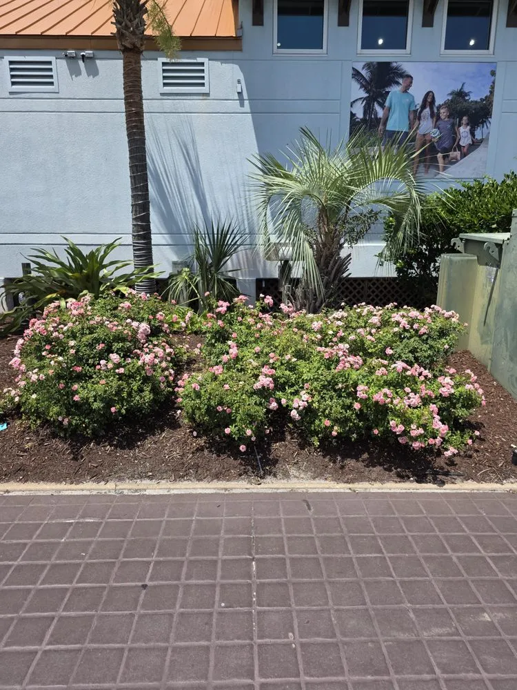 Custom yard cleanup service for residential properties across Milton, FL - Salted Sands Landscaping