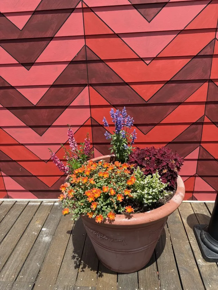 Top-rated yard cleanup service experts serving Milton, FL - Salted Sands Landscaping